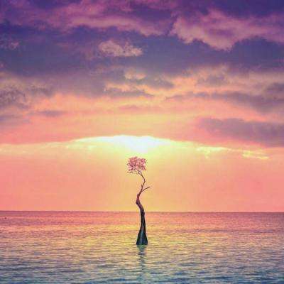 金年会体育app下载官网